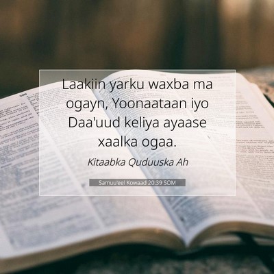 Picture 07 - Samuu'eel Kowaad 20:39 SOM - Laakiin yarku waxba ma ogayn, Yoonaataan iyo - Bible Verse Picture