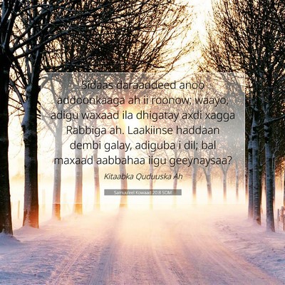 Picture 07 - Samuu'eel Kowaad 20:8 SOM - Sidaas daraaddeed anoo addoonkaaga ah ii roonow; - Bible Verse Picture