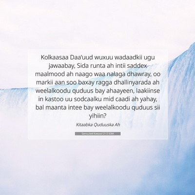 Picture 07 - Samuu'eel Kowaad 21:5 SOM - Kolkaasaa Daa'uud wuxuu wadaadkii ugu jawaabay, - Bible Verse Picture