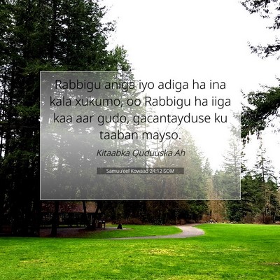 Picture 07 - Samuu'eel Kowaad 24:12 SOM - Rabbigu aniga iyo adiga ha ina kala xukumo, oo - Bible Verse Picture