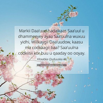 Picture 07 - Samuu'eel Kowaad 24:16 SOM - Markii Daa'uud hadalkaas Saa'uul u dhammeeyey - Bible Verse Picture