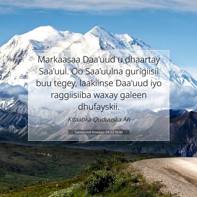 Picture 07 - Samuu'eel Kowaad 24:22 SOM - Markaasaa Daa'uud u dhaartay Saa'uul. Oo - Bible Verse Picture