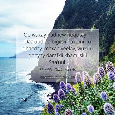Picture 07 - Samuu'eel Kowaad 24:5 SOM - Oo waxay hadhow noqotay in Daa'uud qalbigiisii - Bible Verse Picture