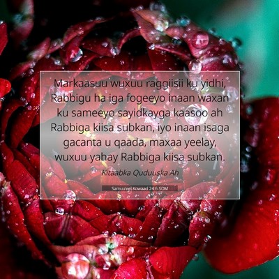 Picture 07 - Samuu'eel Kowaad 24:6 SOM - Markaasuu wuxuu raggiisii ku yidhi, Rabbigu ha - Bible Verse Picture