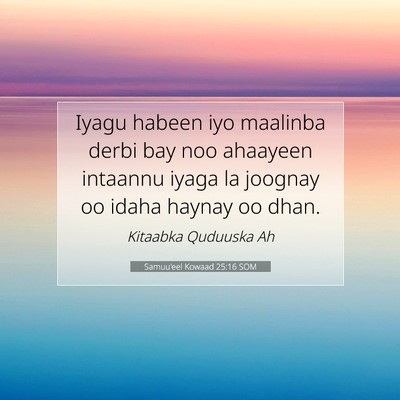 Picture 07 - Samuu'eel Kowaad 25:16 SOM - Iyagu habeen iyo maalinba derbi bay noo ahaayeen - Bible Verse Picture
