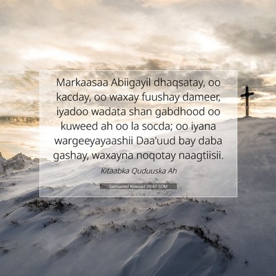 Picture 07 - Samuu'eel Kowaad 25:42 SOM - Markaasaa Abiigayil dhaqsatay, oo kacday, oo - Bible Verse Picture