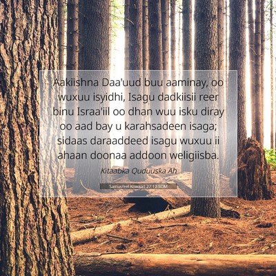 Picture 07 - Samuu'eel Kowaad 27:12 SOM - Aakiishna Daa'uud buu aaminay, oo wuxuu isyidhi, - Bible Verse Picture