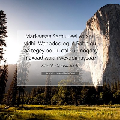Picture 07 - Samuu'eel Kowaad 28:16 SOM - Markaasaa Samuu'eel wuxuu yidhi, War adoo og in - Bible Verse Picture