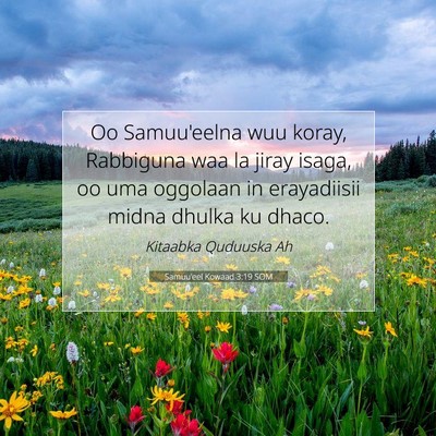 Picture 07 - Samuu'eel Kowaad 3:19 SOM - Oo Samuu'eelna wuu koray, Rabbiguna waa la jiray - Bible Verse Picture