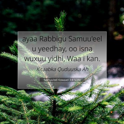Picture 07 - Samuu'eel Kowaad 3:4 SOM - ayaa Rabbigu Samuu'eel u yeedhay, oo isna wuxuu - Bible Verse Picture
