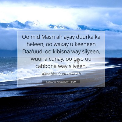 Picture 07 - Samuu'eel Kowaad 30:11 SOM - Oo mid Masri ah ayay duurka ka heleen, oo waxay u - Bible Verse Picture