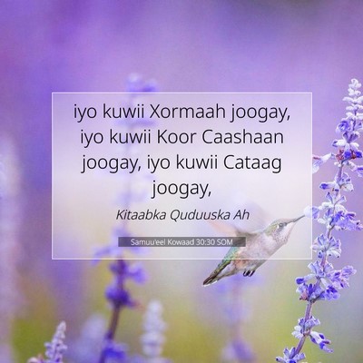 Picture 07 - Samuu'eel Kowaad 30:30 SOM - iyo kuwii Xormaah joogay, iyo kuwii Koor Caashaan - Bible Verse Picture