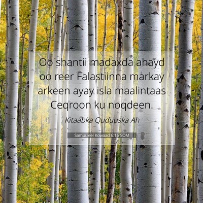 Picture 07 - Samuu'eel Kowaad 6:16 SOM - Oo shantii madaxda ahayd oo reer Falastiinna - Bible Verse Picture