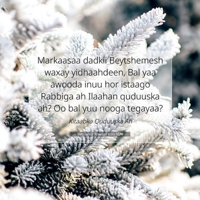 Picture 07 - Samuu'eel Kowaad 6:20 SOM - Markaasaa dadkii Beytshemesh waxay yidhaahdeen, - Bible Verse Picture