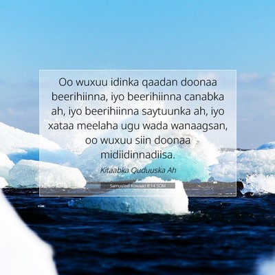 Picture 07 - Samuu'eel Kowaad 8:14 SOM - Oo wuxuu idinka qaadan doonaa beerihiinna, iyo - Bible Verse Picture