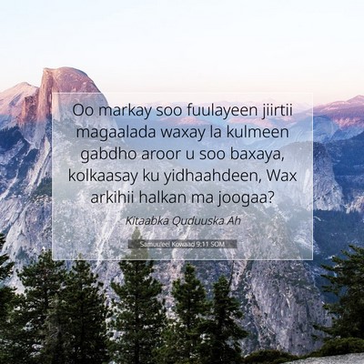 Picture 07 - Samuu'eel Kowaad 9:11 SOM - Oo markay soo fuulayeen jiirtii magaalada waxay - Bible Verse Picture