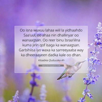Picture 07 - Samuu'eel Kowaad 9:2 SOM - Oo isna wuxuu lahaa wiil la yidhaahdo Saa'uul, oo - Bible Verse Picture