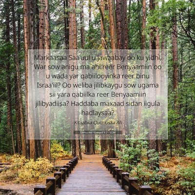 Picture 07 - Samuu'eel Kowaad 9:21 SOM - Markaasaa Saa'uul u jawaabay oo ku yidhi, War sow - Bible Verse Picture
