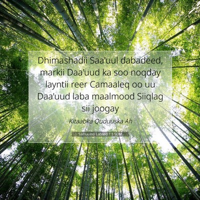 Picture 07 - Samuu'eel Labaad 1:1 SOM - Dhimashadii Saa'uul dabadeed, markii Daa'uud ka - Bible Verse Picture