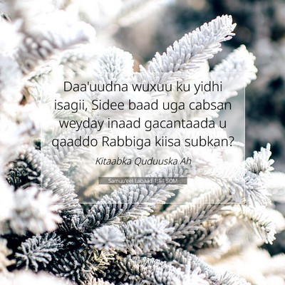 Picture 07 - Samuu'eel Labaad 1:14 SOM - Daa'uudna wuxuu ku yidhi isagii, Sidee baad uga - Bible Verse Picture