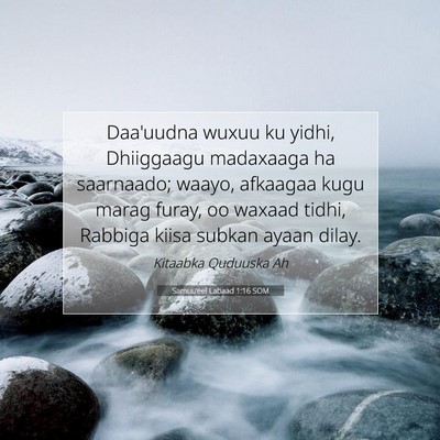 Picture 07 - Samuu'eel Labaad 1:16 SOM - Daa'uudna wuxuu ku yidhi, Dhiiggaagu madaxaaga ha - Bible Verse Picture