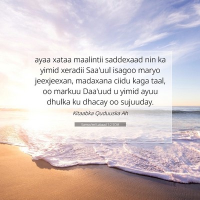 Picture 07 - Samuu'eel Labaad 1:2 SOM - ayaa xataa maalintii saddexaad nin ka yimid - Bible Verse Picture