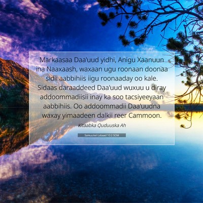 Picture 07 - Samuu'eel Labaad 10:2 SOM - Markaasaa Daa'uud yidhi, Anigu Xaanuun ina - Bible Verse Picture