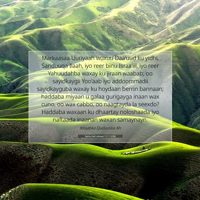 Picture 07 - Samuu'eel Labaad 11:11 SOM - Markaasaa Uuriyaah wuxuu Daa'uud ku yidhi, - Bible Verse Picture