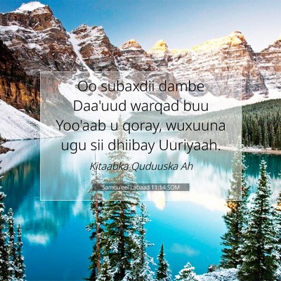 Picture 07 - Samuu'eel Labaad 11:14 SOM - Oo subaxdii dambe Daa'uud warqad buu Yoo'aab u - Bible Verse Picture