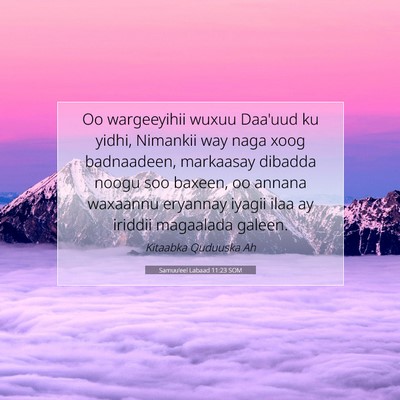 Picture 07 - Samuu'eel Labaad 11:23 SOM - Oo wargeeyihii wuxuu Daa'uud ku yidhi, Nimankii - Bible Verse Picture