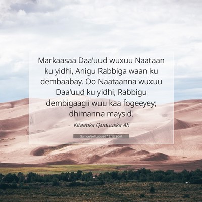 Picture 07 - Samuu'eel Labaad 12:13 SOM - Markaasaa Daa'uud wuxuu Naataan ku yidhi, Anigu - Bible Verse Picture