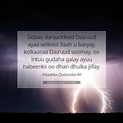 Picture 07 - Samuu'eel Labaad 12:16 SOM - Sidaas daraaddeed Daa'uud ayaa wiilkiisii Ilaah u - Bible Verse Picture