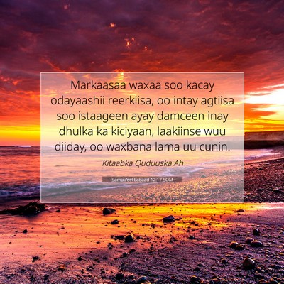 Picture 07 - Samuu'eel Labaad 12:17 SOM - Markaasaa waxaa soo kacay odayaashii reerkiisa, - Bible Verse Picture