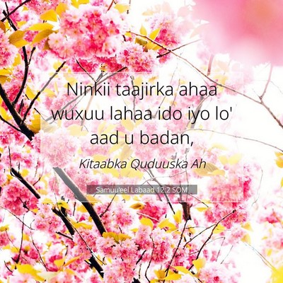 Picture 07 - Samuu'eel Labaad 12:2 SOM - Ninkii taajirka ahaa wuxuu lahaa ido iyo lo' aad - Bible Verse Picture