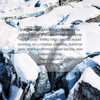 Picture 07 - Samuu'eel Labaad 12:21 SOM - Markaasaa addoommadiisii waxay ku yidhaahdeen, - Bible Verse Picture