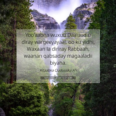 Picture 07 - Samuu'eel Labaad 12:27 SOM - Yoo'aabna wuxuu Daa'uud u diray wargeeyayaal, oo - Bible Verse Picture