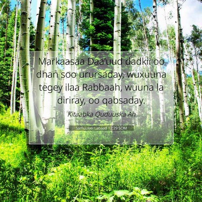 Picture 07 - Samuu'eel Labaad 12:29 SOM - Markaasaa Daa'uud dadkii oo dhan soo urursaday, - Bible Verse Picture