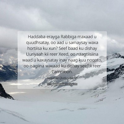Picture 07 - Samuu'eel Labaad 12:9 SOM - Haddaba erayga Rabbiga maxaad u quudhsatay, oo - Bible Verse Picture