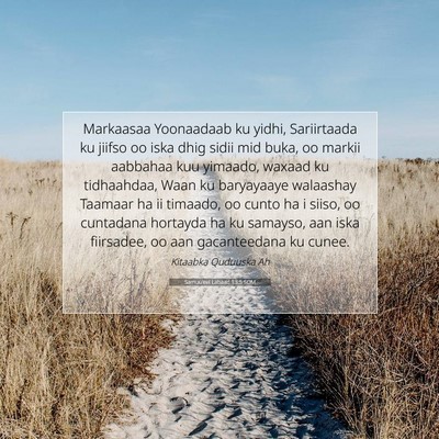 Picture 07 - Samuu'eel Labaad 13:5 SOM - Markaasaa Yoonaadaab ku yidhi, Sariirtaada ku - Bible Verse Picture