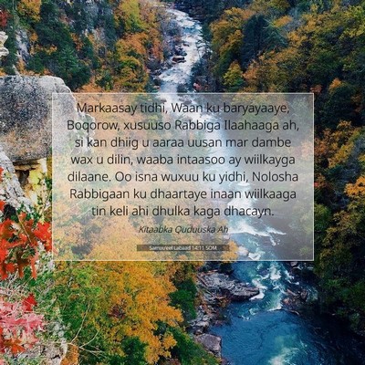 Picture 07 - Samuu'eel Labaad 14:11 SOM - Markaasay tidhi, Waan ku baryayaaye, Boqorow, - Bible Verse Picture