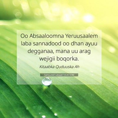 Picture 07 - Samuu'eel Labaad 14:28 SOM - Oo Absaaloomna Yeruusaalem laba sannadood oo dhan - Bible Verse Picture