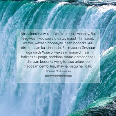 Picture 07 - Samuu'eel Labaad 14:32 SOM - Absaaloomna wuxuu Yoo'aab ugu jawaabay, Bal eeg - Bible Verse Picture