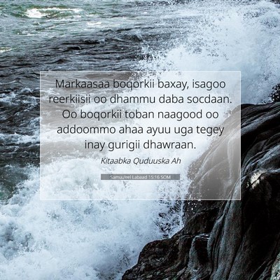 Picture 07 - Samuu'eel Labaad 15:16 SOM - Markaasaa boqorkii baxay, isagoo reerkiisii oo - Bible Verse Picture