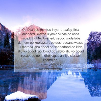 Picture 07 - Samuu'eel Labaad 16:1 SOM - Oo Daa'uud markuu in yar dhaafay jiirta dusheedii - Bible Verse Picture