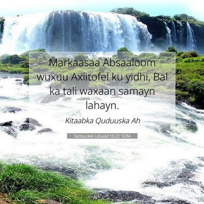 Picture 07 - Samuu'eel Labaad 16:20 SOM - Markaasaa Absaaloom wuxuu Axiitofel ku yidhi, Bal - Bible Verse Picture