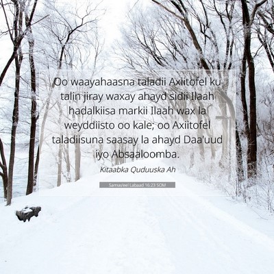 Picture 07 - Samuu'eel Labaad 16:23 SOM - Oo waayahaasna taladii Axiitofel ku talin jiray - Bible Verse Picture