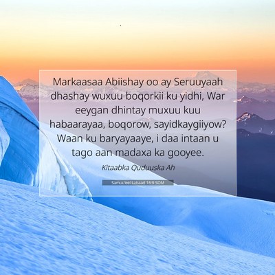 Picture 07 - Samuu'eel Labaad 16:9 SOM - Markaasaa Abiishay oo ay Seruuyaah dhashay wuxuu - Bible Verse Picture