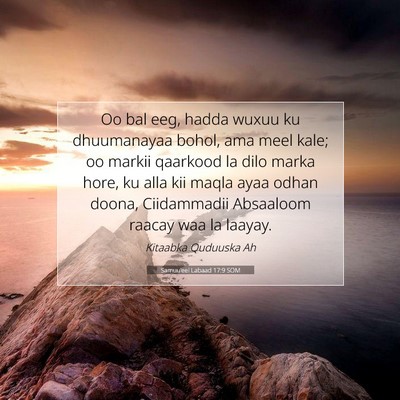 Picture 07 - Samuu'eel Labaad 17:9 SOM - Oo bal eeg, hadda wuxuu ku dhuumanayaa bohol, ama - Bible Verse Picture