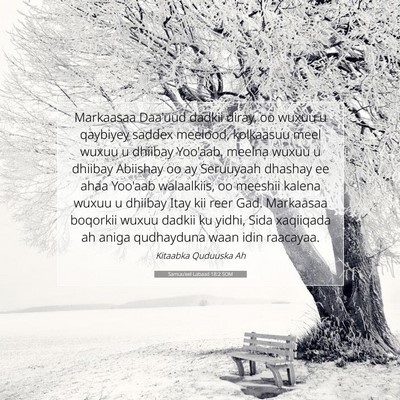 Picture 07 - Samuu'eel Labaad 18:2 SOM - Markaasaa Daa'uud dadkii diray, oo wuxuu u - Bible Verse Picture