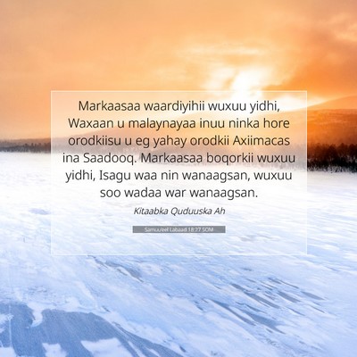 Picture 07 - Samuu'eel Labaad 18:27 SOM - Markaasaa waardiyihii wuxuu yidhi, Waxaan u - Bible Verse Picture